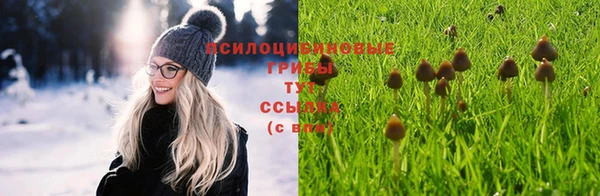 2c-b Абаза